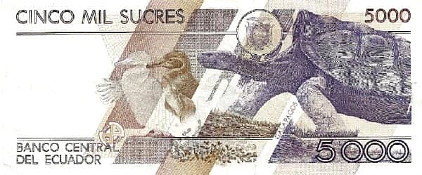 5000 سوكريس