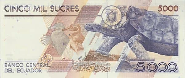 5000 سوكريس