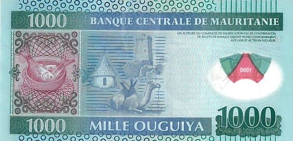 1000 أوجيا